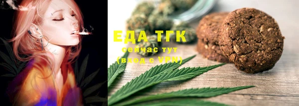 хмурый Алексин