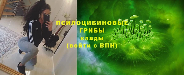 сатива Абдулино