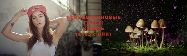 каннабис Абаза