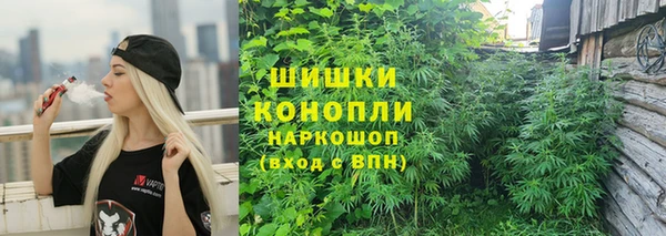 прущие грибы Покачи