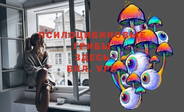 хмурый Алексин